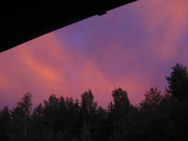 View of the bright rainbow in the sunset rays over the forest. Rainbow appeared after the rain in the sky at sunset, when the sun painted the clouds in bright purple and burgundy tones. A joy to the eye after the storm.