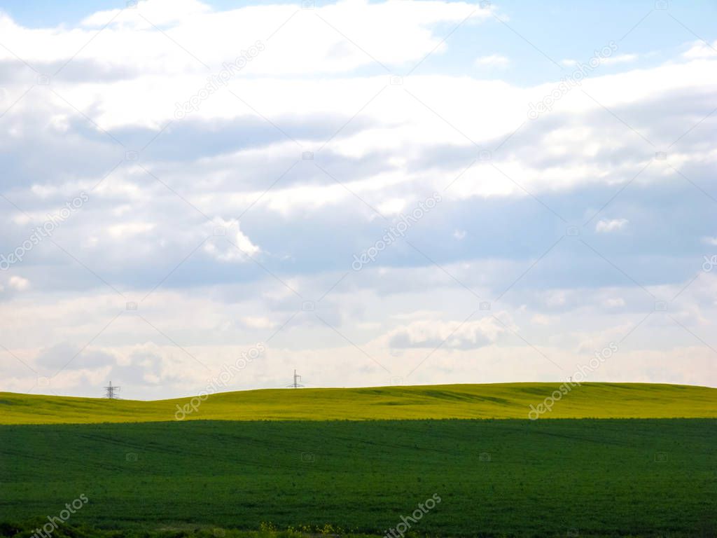 View of the vast arable land sown with plant crops on a bright sunny day.