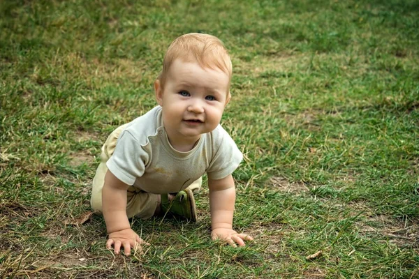 幼儿男孩训练他的爬行技能 孩子高兴地在绿草上爬来爬去 幼儿微笑着 在露天的院子里四处走动 — 图库照片