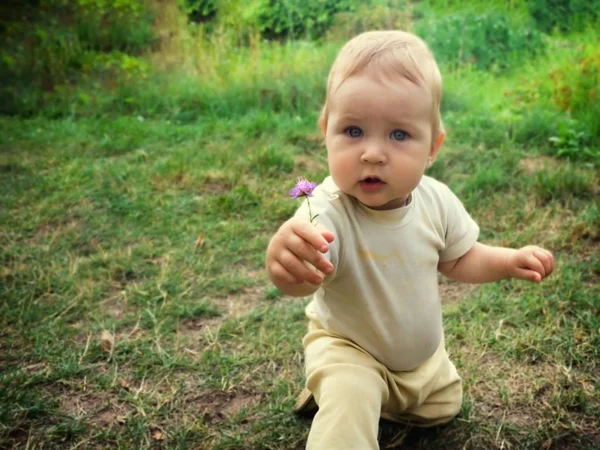 坐在草地上的教皇上的幼儿男孩 孩子在草地上发现一朵花 摘下植物向前伸展 幼儿给了一朵小花 — 图库照片