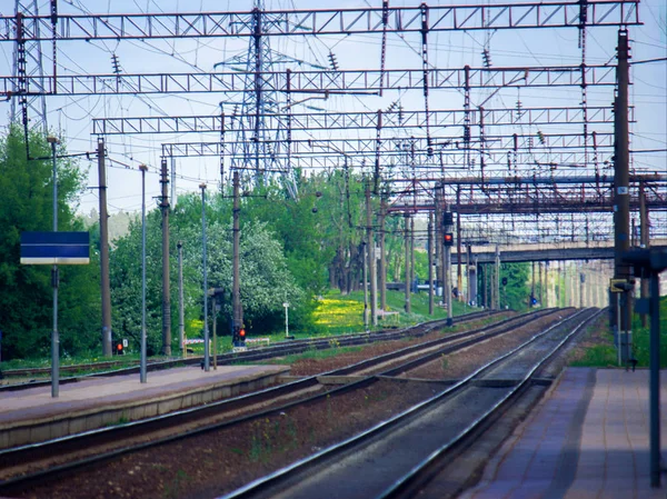 Çiçekli karahindiba lar zamanında yaz aylarında üzerlerindeki boş demiryolu rayları ve karayolu köprüsünün genel görünümü.