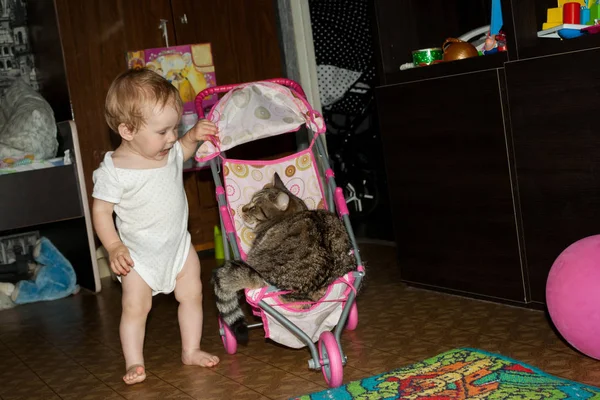 유아는 장난감 유모차에 자신의 고양이를 굴립니다 어머니 아이는 역할을한다 — 스톡 사진