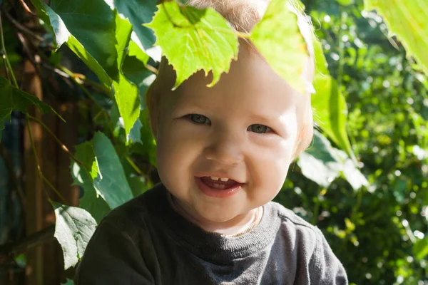 一个小男孩在装饰葡萄叶子的特写肖像 — 图库照片