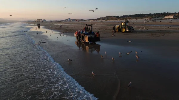 Costa da Caparica, Portekiz 22 Ağustos 2025: Balıkçılar gün batımında okyanustan ağlar, plajda traktörler ve botlar çekiyor, insanlar avı izliyor, martılar yukarıda uçuyor. Yerel balıkçılık endüstrisi. Havadan