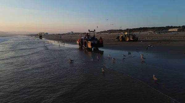 Costa da Caparica, Portekiz 22 Ağustos 2025: Balıkçılar gün batımında okyanustan ağlar, plajda traktörler ve botlar çekiyor, insanlar avı izliyor, martılar yukarıda uçuyor. Yerel balıkçılık endüstrisi. Havadan