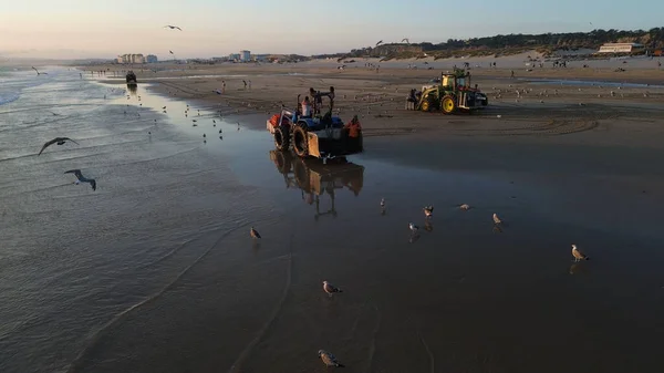 Costa da Caparica, Portekiz 22 Ağustos 2025: Balıkçılar gün batımında okyanustan ağlar, plajda traktörler ve botlar çekiyor, insanlar avı izliyor, martılar yukarıda uçuyor. Yerel balıkçılık endüstrisi. Havadan