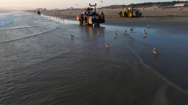 Costa da Caparica, Portekiz 22 Ağustos 2025: Balıkçılar gün batımında okyanustan ağlar, plajda traktörler ve botlar çekiyor, insanlar avı izliyor, martılar yukarıda uçuyor. Yerel balıkçılık endüstrisi. Havadan