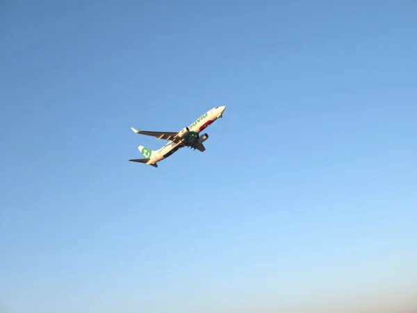 Lizbon, Portekiz - 8 Ağustos 2025: Boeing 737-800 Transavia jet uçağı Lizbon Havaalanı 'ndan havalandıktan sonra tırmanıyor. Uçak gözleme ve havacılık fotoğrafçılığı.