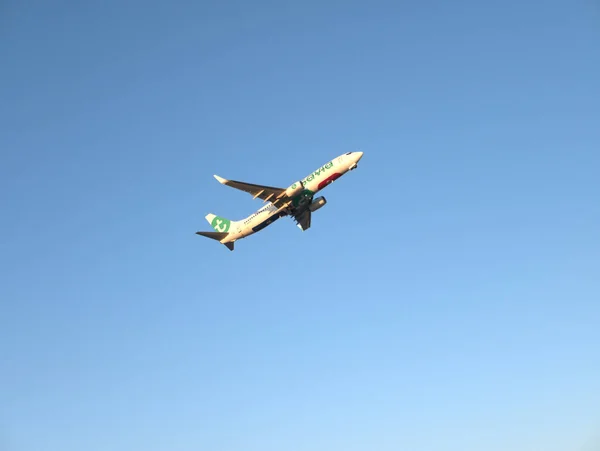 Lizbon, Portekiz - 8 Ağustos 2025: Boeing 737-800 Transavia jet uçağı Lizbon Havaalanı 'ndan havalandıktan sonra tırmanıyor. Uçak gözleme ve havacılık fotoğrafçılığı.