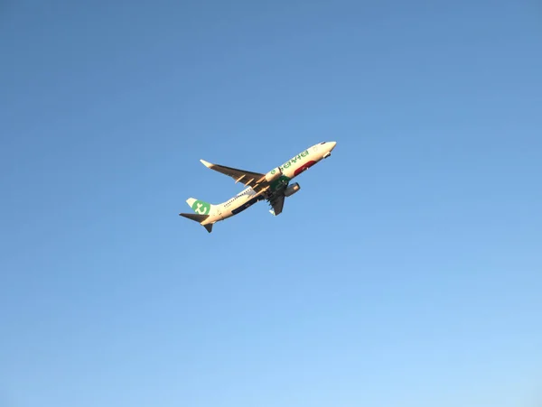 Lizbon, Portekiz - 8 Ağustos 2025: Boeing 737-800 Transavia jet uçağı Lizbon Havaalanı 'ndan havalandıktan sonra tırmanıyor. Uçak gözleme ve havacılık fotoğrafçılığı.