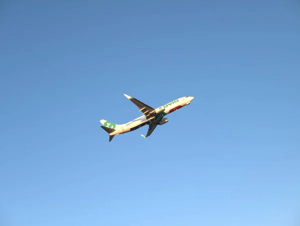 Lizbon, Portekiz - 8 Ağustos 2025: Boeing 737-800 Transavia jet uçağı Lizbon Havaalanı 'ndan havalandıktan sonra tırmanıyor. Uçak gözleme ve havacılık fotoğrafçılığı.