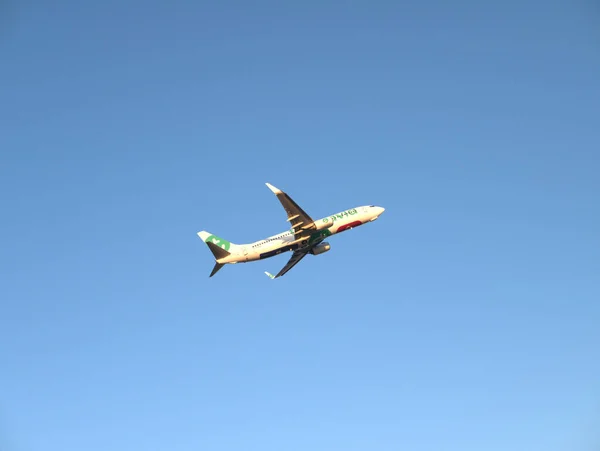 Lizbon, Portekiz - 8 Ağustos 2025: Boeing 737-800 Transavia jet uçağı Lizbon Havaalanı 'ndan havalandıktan sonra tırmanıyor. Uçak gözleme ve havacılık fotoğrafçılığı.