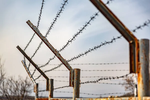 Szögesdrót a kerítésen az ég felé és száraz fák egy napsütéses napon. Vízszintes tájolás. — Stock Fotó