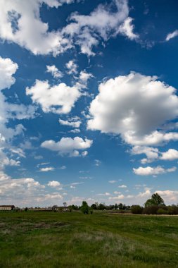 Beyaz kümülüs bulutlu mavi gökyüzü kırsaldaki ağaçlarla dolu bir çayırın üzerinde. Dikey yönelim.