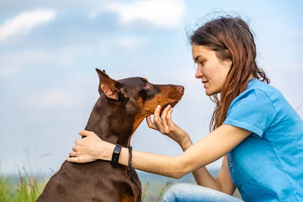 Doberman Dobermann kahverengi, esmer köpek ve bir kız oturuyor ve mavi gökyüzü ve tarlanın arka planında birbirlerine bakıyorlar. Yatay yönelim.