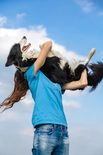 Дівчина з довгим волоссям у синій футболці тримає чорно-білу кордону колі собаку в руках і пізно. Портрет проти яскравого блакитного неба з хмарами. Вертикальна орієнтація . — стокове фото