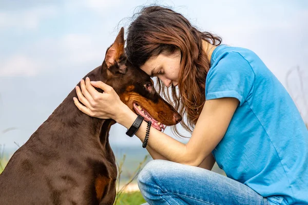 Mavi tişörtlü bir kız ve kahverengi tenli bir doberman Dobermann köpeği alnına oturarak gökyüzüne karşı oturuyor. Yatay yönelim. 