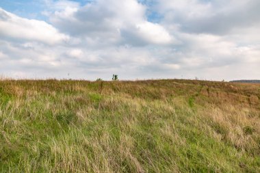 Bulutlu bir gökyüzü ve yeşil ve kuru otlarla dolu bir tarla. Ufuk. Geçmişi. Mesaj için yer. Yatay yönelim. 