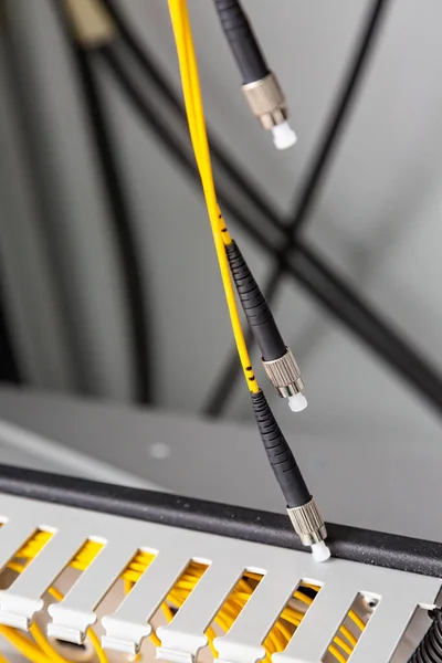 Yellow black round fiber optic cables with plugs hang in a cabinet. Vertical orientation.