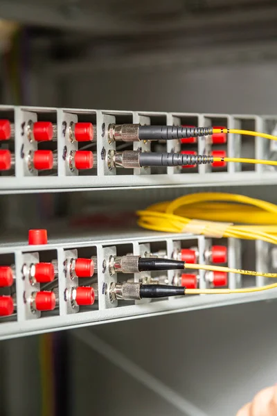 Cabos redondos de fibra óptica inseridos no interruptor. Orientação vertical . — Fotografia de Stock