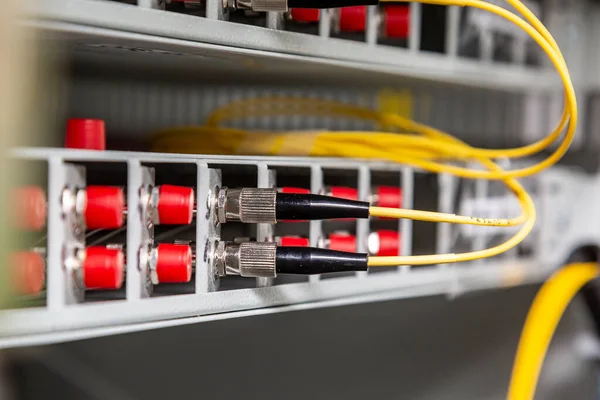 Dos cables de fibra óptica redondos insertados en el interruptor. Orientación horizontal . —  Fotos de Stock