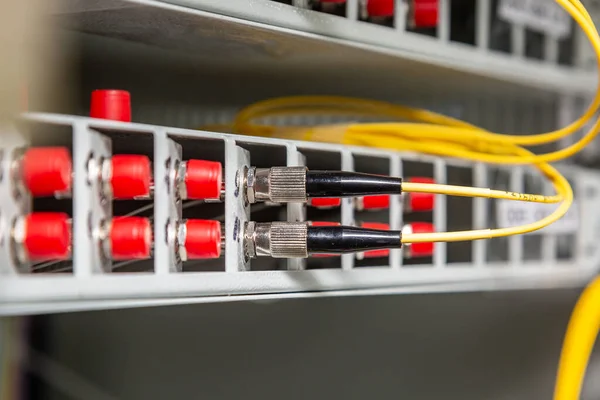 Dos cables de fibra óptica redondos insertados en el interruptor. Orientación horizontal . —  Fotos de Stock