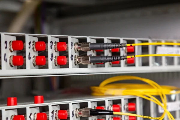 Los cables de fibra óptica amarillo-negro se insertan en el interruptor. Primer plano. Orientación horizontal. —  Fotos de Stock