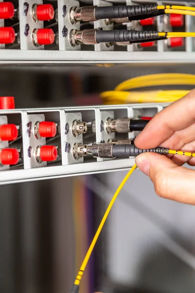 Una persona inserta un cable de fibra óptica negro amarillo en un interruptor. Las manos cerca. Orientación vertical. —  Fotos de Stock