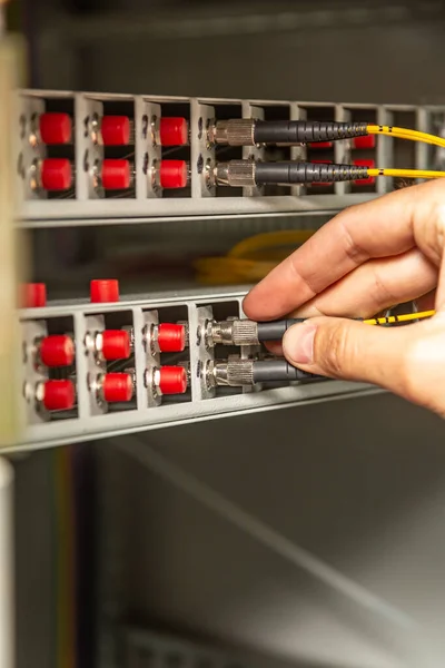 Una persona inserta un cable de fibra óptica negro amarillo en un interruptor. Las manos cerca. Orientación vertical. —  Fotos de Stock