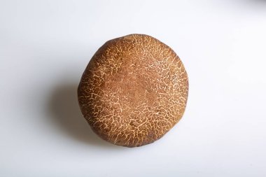 Beyaz arka planda, yakın plan şapkalı bir formalı inek mantarı. Yukarıdan bak. Yatay oryantasyon. Yüksek kalite fotoğraf.