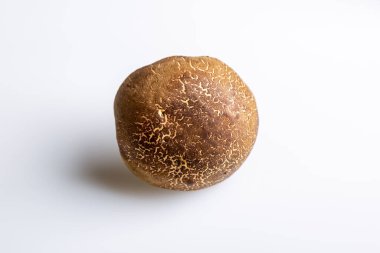 Beyaz arka planda, yakın plan şapkalı bir formalı inek mantarı. Yukarıdan bak. Yatay oryantasyon. Yüksek kalite fotoğraf.