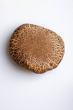 Beyaz arka planda, yakın plan şapkalı bir formalı inek mantarı. Yukarıdan bak. Dikey oryantasyon. Yüksek kalite fotoğraf.