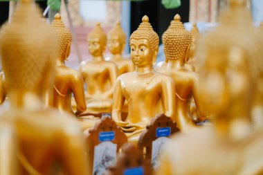Beautiful golden Buddha statue enshrined in Thailand