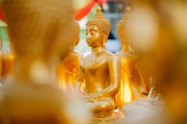Beautiful golden Buddha statue enshrined in Thailand