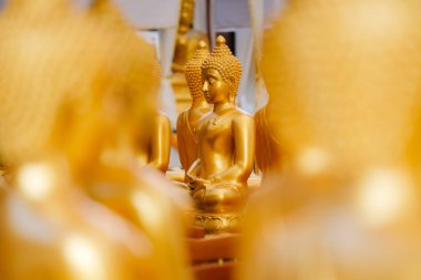 Beautiful golden Buddha statue enshrined in Thailand