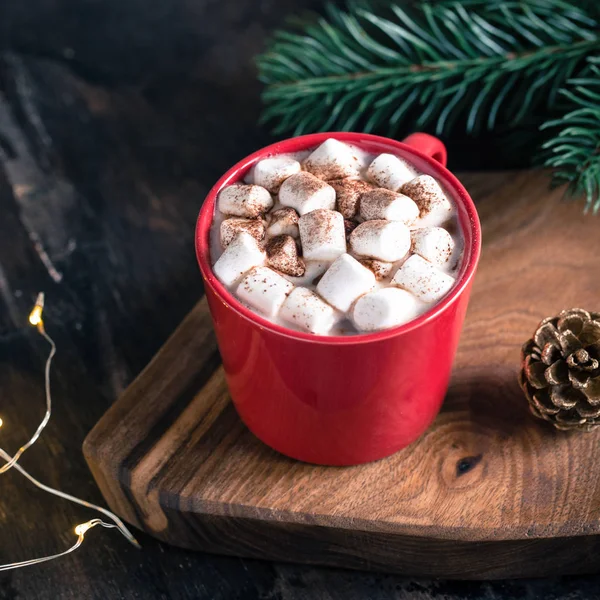 Bebida de Natal. Chocolate quente ou cacau, marshmallow e pinho br — Fotografia de Stock