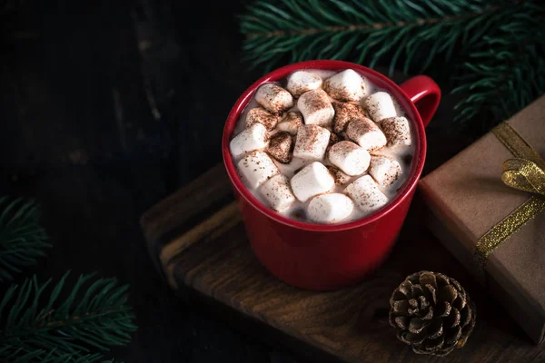Рождественский напиток Горячий шоколад или какао, зефир и сосна Br — стоковое фото