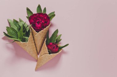 Pembe arka planda dondurma külahında şakayık ve yapraklar. Düz yatıyordu