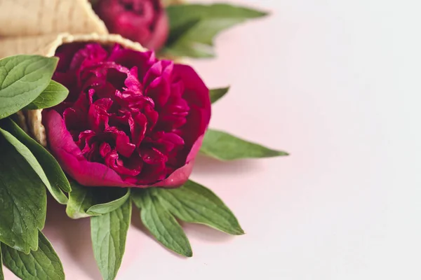 Παιωνία Και Φύλλα Παγωτό Χωνάκι Ροζ Φόντο Επίπεδη — Φωτογραφία Αρχείου