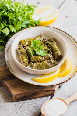 Dolma - Doldurulmuş Yunan şarap yaprakları (dolmades) gri ahşap arka planda