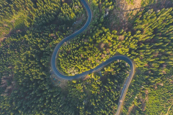 Zakřivená Letecká Cesta Dronu Lesní Asfaltová Cesta Horách Poblíž Smrku — Stock fotografie