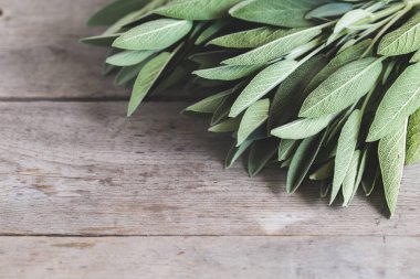 Adaçayı yaprağı buketi. Ahşap bir arka planda bilge.