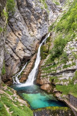 Slovenya Savica Şelalesi