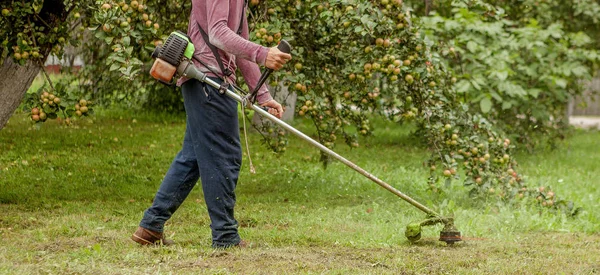 Tukang kebun menggunakan mesin memotong rumput hijau di kebun. Peralatan taman. Anak muda memotong rumput dengan pemangkas Stok Gambar Bebas Royalti