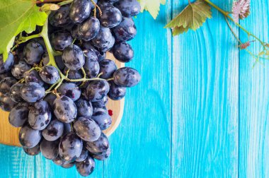 Üzüm mavi ahşap bir masa üzerinde. Dal taze Olgun kırmızı üzüm. Güzel arka plan mavi üzüm bir dalı ile. Koyu kırmızı şarap üzüm. Sağlıklı gıda arka plan. Yaz meyve.