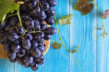 Üzüm mavi ahşap bir masa üzerinde. Dal taze Olgun kırmızı üzüm. Güzel arka plan mavi üzüm bir dalı ile. Koyu kırmızı şarap üzüm. Sağlıklı gıda arka plan.