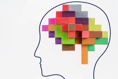 İnsan beyni çok renkli ahşap blokları yapılır.