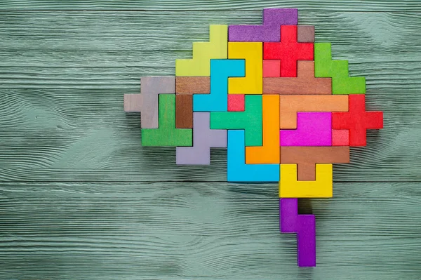 Human brain is made of multi-colored wooden blocks. — Stock Photo, Image