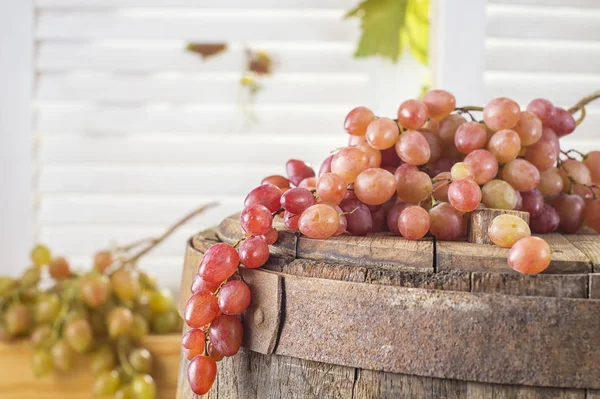Zátiší Červených Hroznů Dřevěném Sudu Koncepce Sklizeň Hroznů Vinařství Vinohradnictví — Stock fotografie