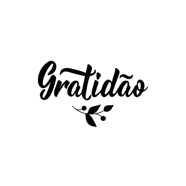 Gratitud Traducción Del Portugués Gratitud Letras Ilustración Vectorial Dibujada Mano — Archivo Imágenes Vectoriales